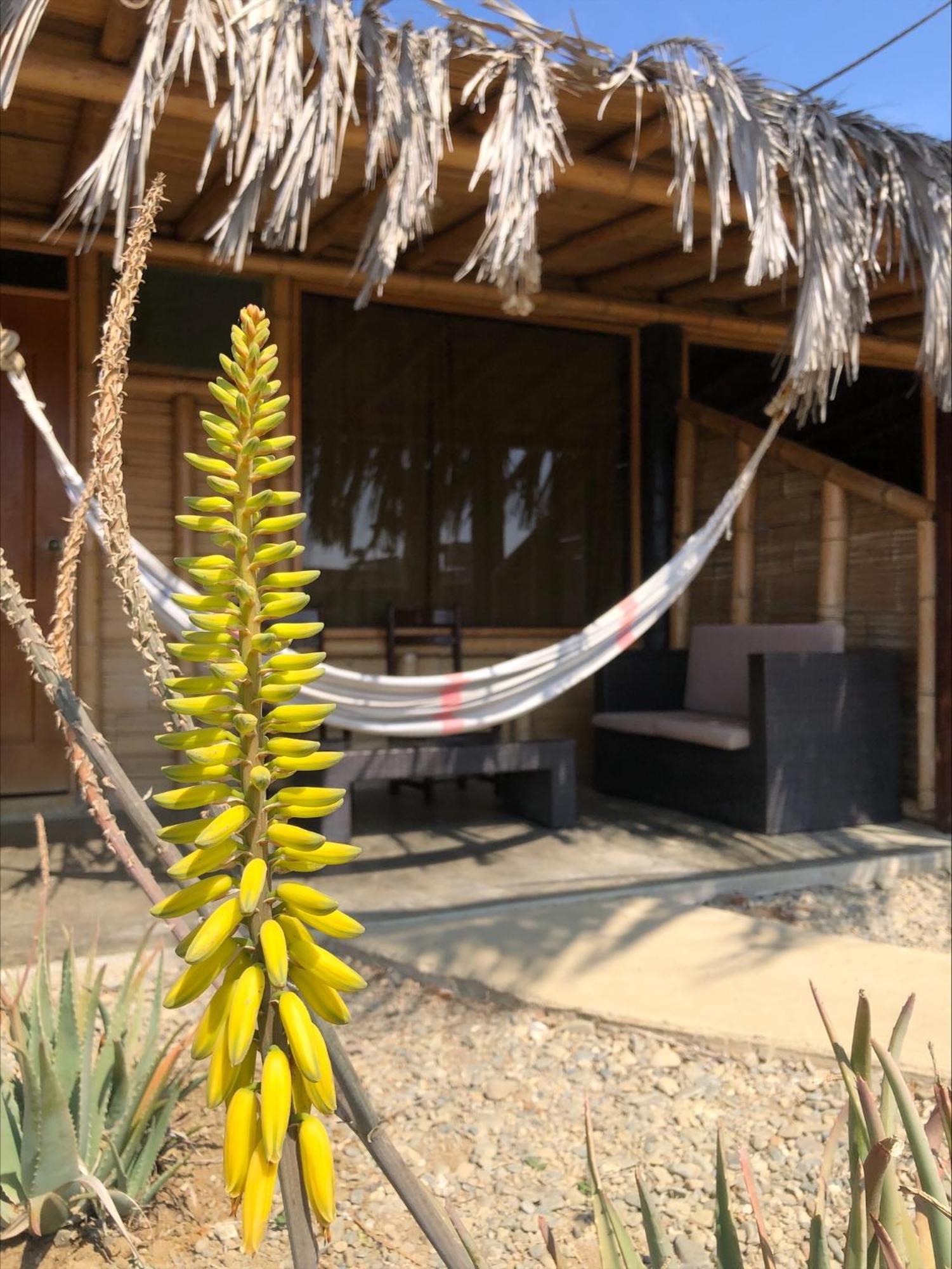 Wayra Otel Lobitos Dış mekan fotoğraf